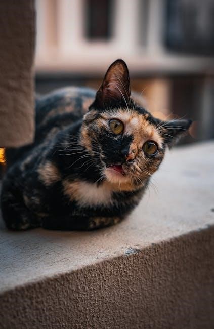 as1428 1 pdf free download