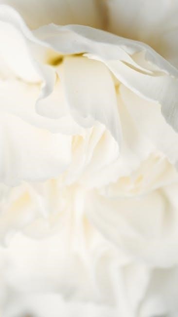 white rose maths year 7 pdf